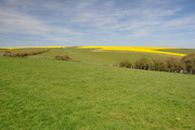 South Downs Way