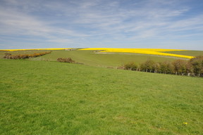 South Downs Way