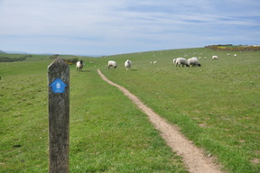 South Downs Way