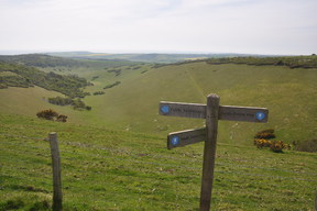 South Downs Way