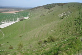 Long Man of Wilmington