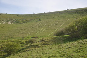 Long Man of Wilmington